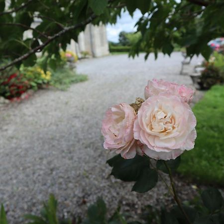 The Stables At Lorum Old Rectory Bagenalstown Buitenkant foto