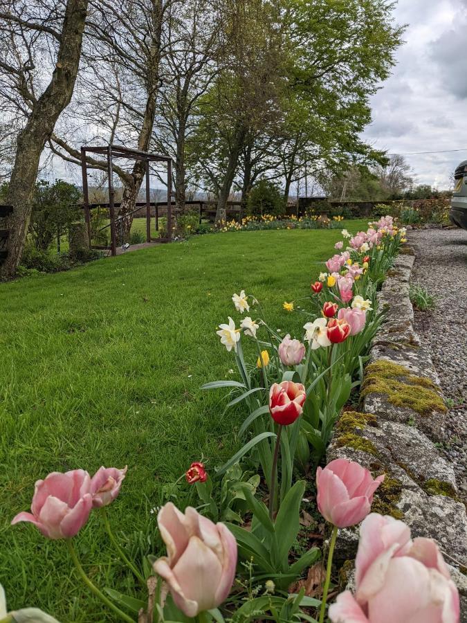 The Stables At Lorum Old Rectory Bagenalstown Buitenkant foto